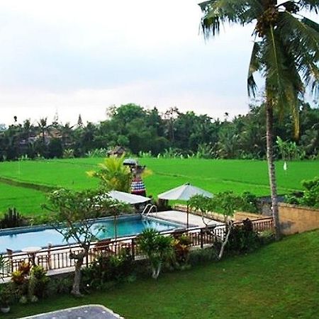 Nyoman Karsa Bungalow Ubud Exteriör bild