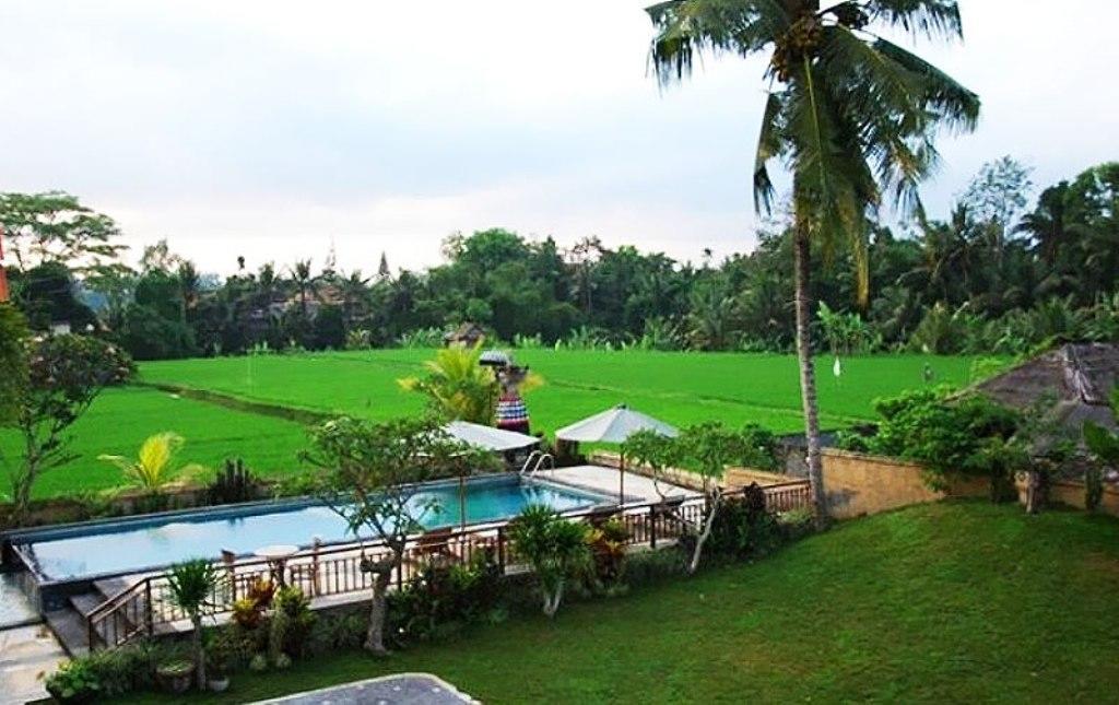 Nyoman Karsa Bungalow Ubud Exteriör bild